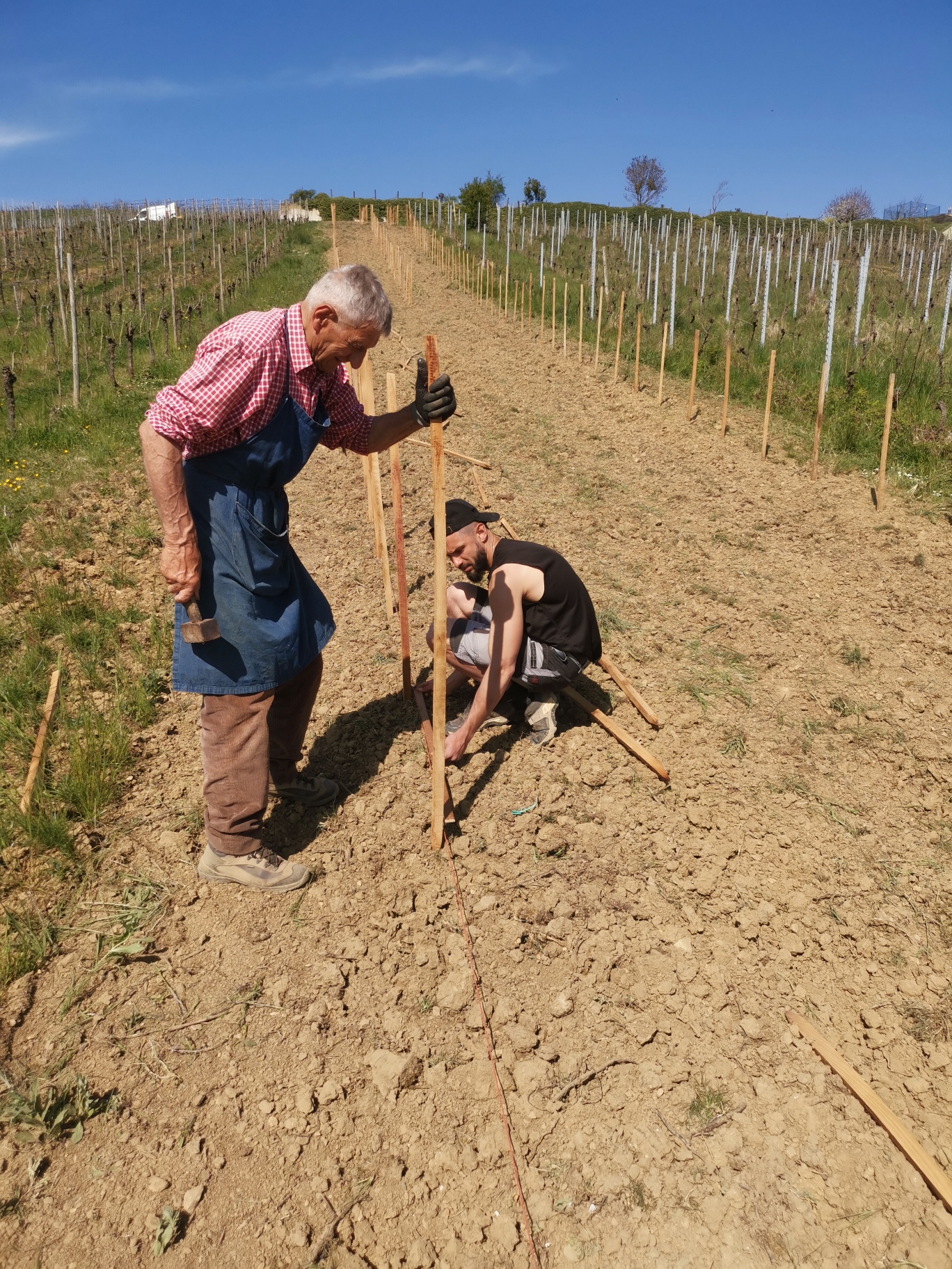 IMG_20250409_151812_resized_20250421_012056821.jpg (1.54 MB)