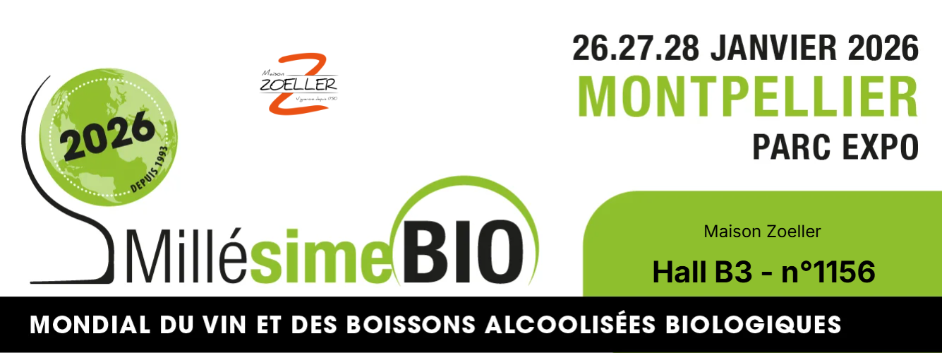 MEDIAKIT_Maison_Zoeller_Mobile.png (299 KB)