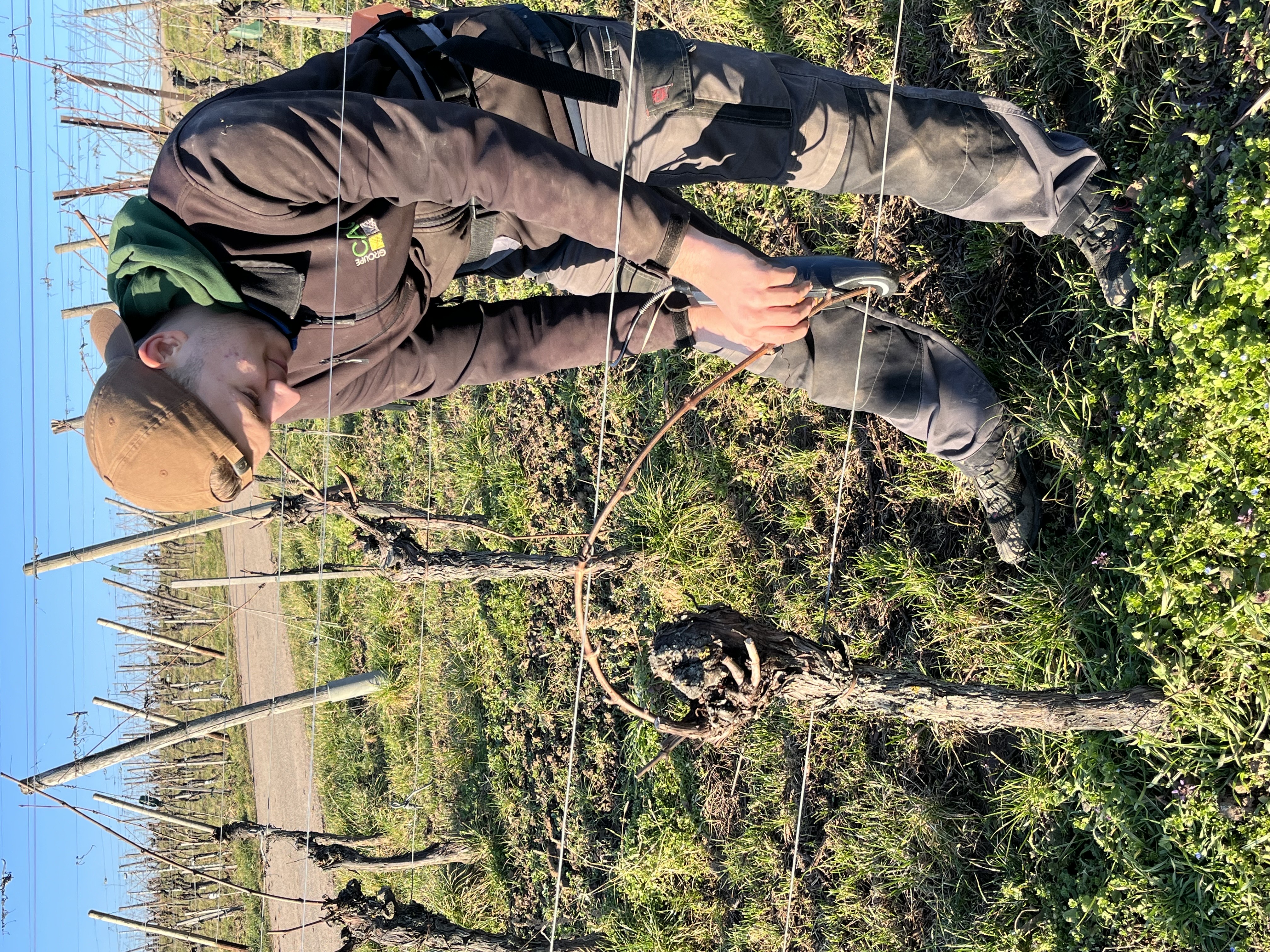 IMG_2389.jpeg (4.35 MB)